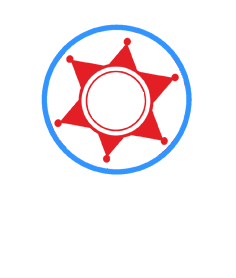 Expert Security Systems